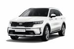 Kia Sorento EcoHybrid 2020 года (WW)